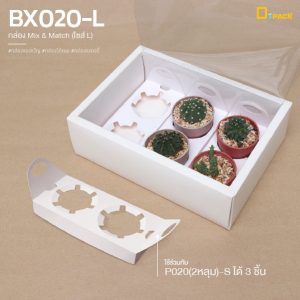 BX020-L-mix9