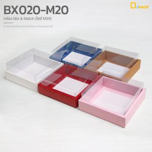 BX020-M20-04mix