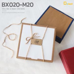 BX020-M20-08mix