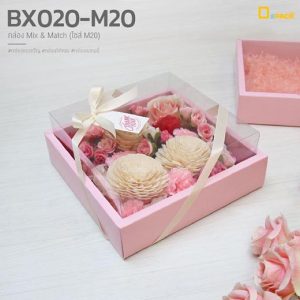 BX020-M20-13mix