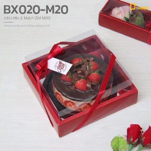 BX020-M20-14mix