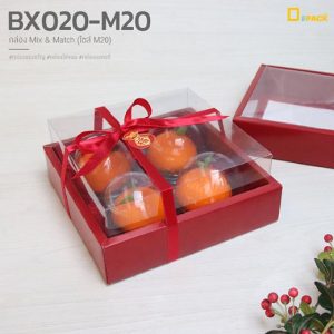 BX020-M20-15mix